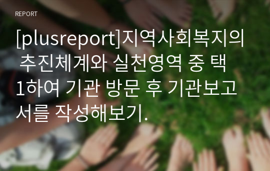 [plusreport]지역사회복지의 추진체계와 실천영역 중 택 1하여 기관 방문 후 기관보고서를 작성해보기.