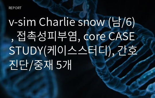 v-sim Charlie snow (남/6) , 접촉성피부염, core CASESTUDY(케이스스터디), 간호진단/중재 5개