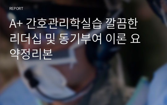 A+ 간호관리학실습 깔끔한 리더십 및 동기부여 이론 요약정리본