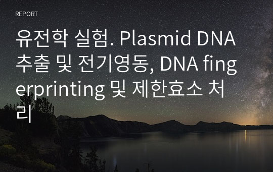 유전학 실험. Plasmid DNA 추출 및 전기영동, DNA fingerprinting 및 제한효소 처리