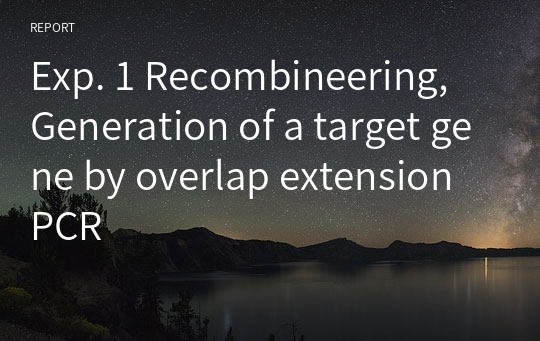 Exp. 1 Recombineering, Generation of a target gene by overlap extension PCR