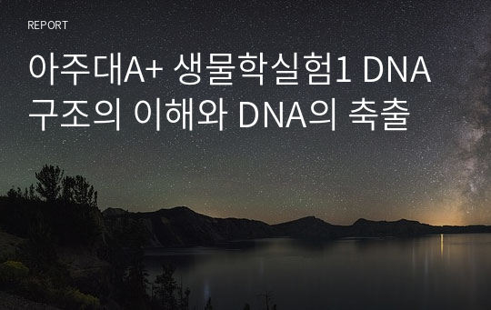 아주대A+ 생물학실험1 DNA 구조의 이해와 DNA의 축출
