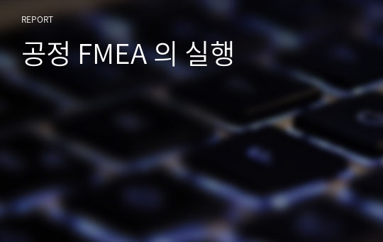 공정 FMEA 의 실행