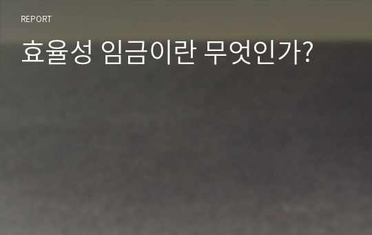 효율성 임금이란 무엇인가?