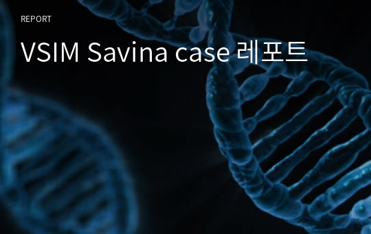 VSIM Savina case 레포트