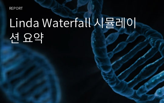 Linda Waterfall 시뮬레이션 요약