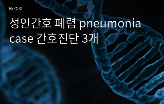 성인간호 폐렴 pneumonia case 간호진단 3개