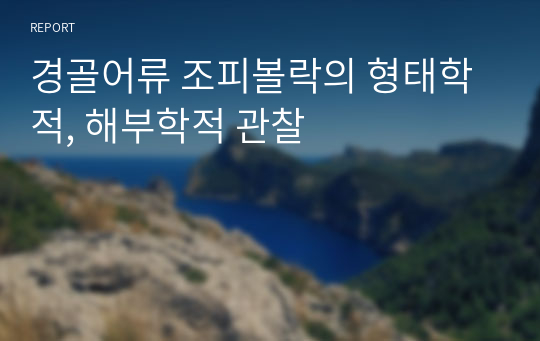 경골어류 조피볼락의 형태학적, 해부학적 관찰