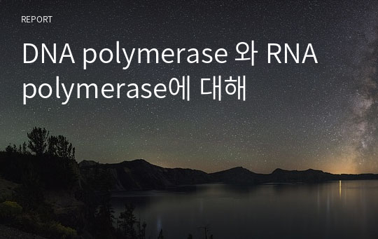 DNA polymerase 와 RNA polymerase에 대해