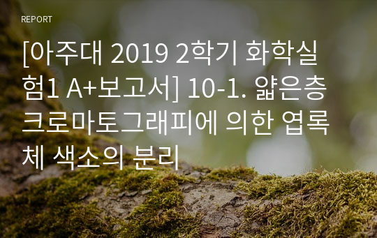 [아주대 2019 2학기 화학실험1 A+보고서] 10-1. 얇은층 크로마토그래피에 의한 엽록체 색소의 분리