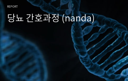 당뇨 간호과정 (nanda)