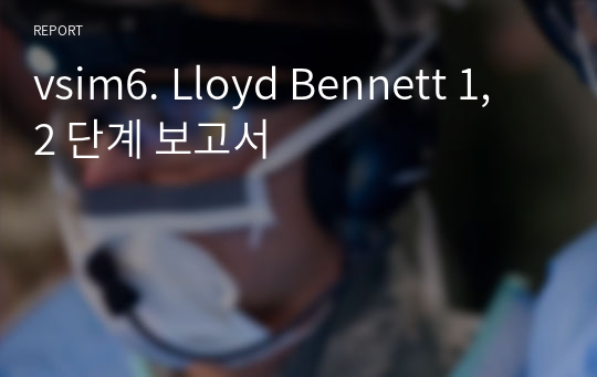 vsim6. Lloyd Bennett 1, 2 단계 보고서