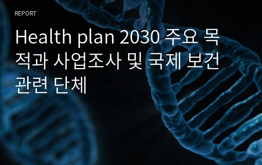 Health plan 2030 주요 목적과 사업조사 및 국제 보건 관련 단체