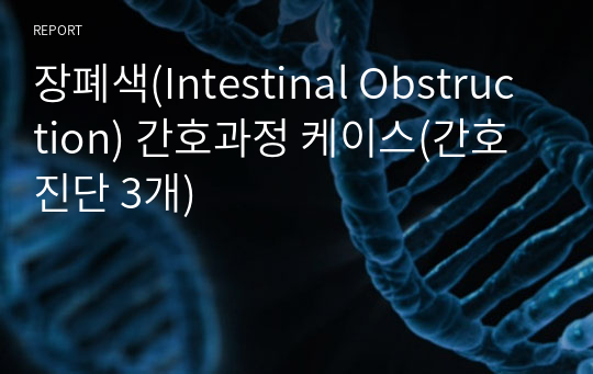 장폐색(Intestinal Obstruction) 간호과정 케이스(간호진단 3개)