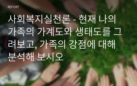 사회복지실천론 - 현재 나의 가족의 가계도와 생태도를 그려보고, 가족의 강점에 대해 분석해 보시오