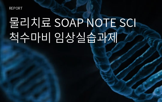 물리치료 SOAP NOTE SCI 척수마비 임상실습과제