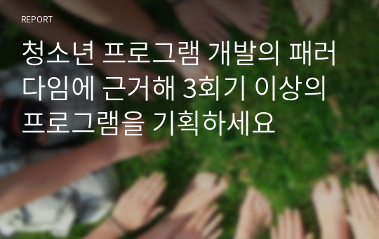 청소년 프로그램 개발의 패러다임에 근거해 3회기 이상의 프로그램을 기획하세요