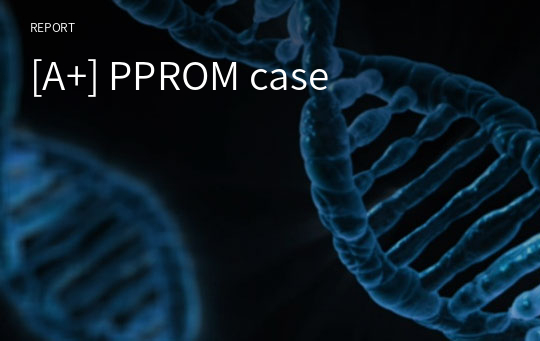 [A+] PPROM case
