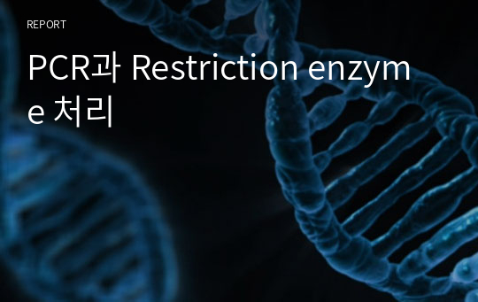 PCR과 Restriction enzyme 처리