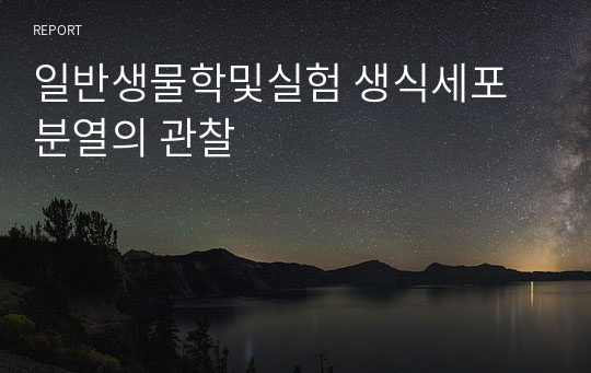 일반생물학및실험 생식세포 분열의 관찰