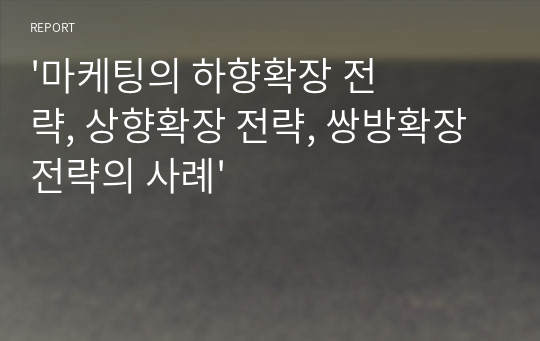 &#039;마케팅의 하향확장 전략, 상향확장 전략, 쌍방확장 전략의 사례&#039;