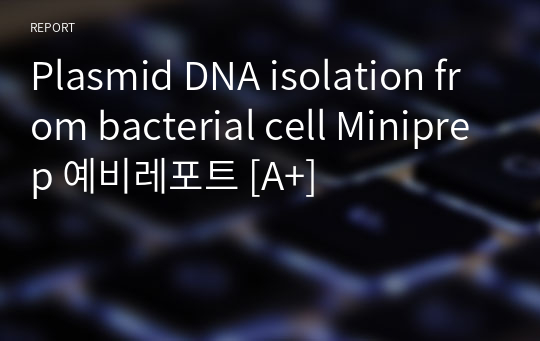 Plasmid DNA isolation from bacterial cell Miniprep 예비레포트 [A+]