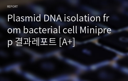 Plasmid DNA isolation from bacterial cell Miniprep 결과레포트 [A+]