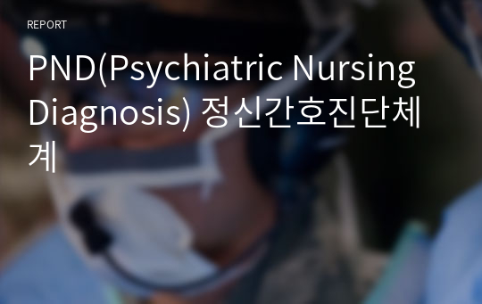 PND(Psychiatric Nursing Diagnosis) 정신간호진단체계