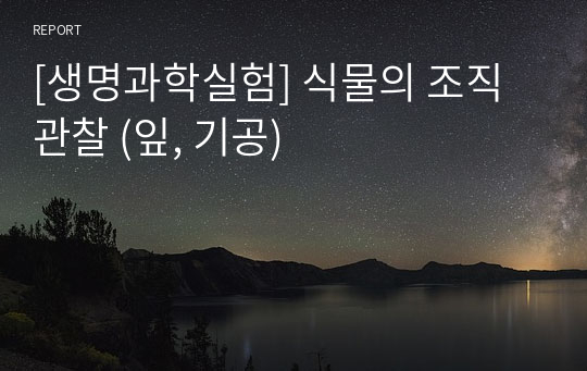 [생명과학실험] 식물의 조직 관찰 (잎, 기공)