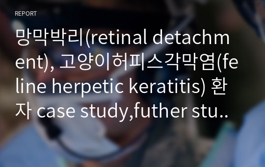 망막박리(retinal detachment), 고양이허피스각막염(feline herpetic keratitis) 환자 case study,futher study PPT발표자료