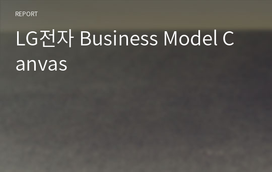 LG전자 Business Model Canvas