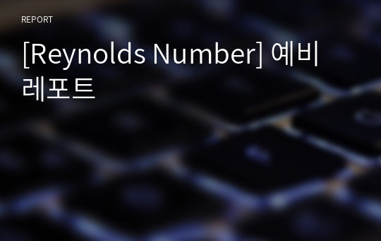 [Reynolds Number] 예비레포트/성균관대학교