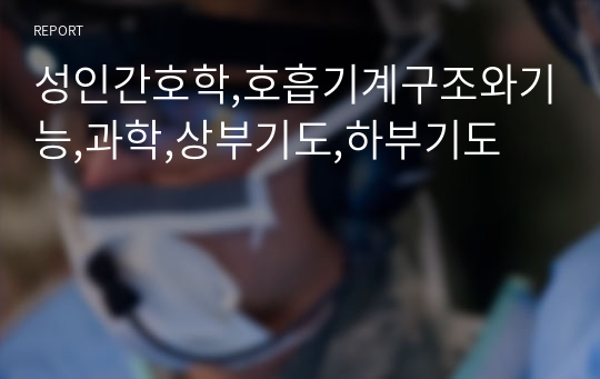 성인간호학,호흡기계구조와기능,과학,상부기도,하부기도