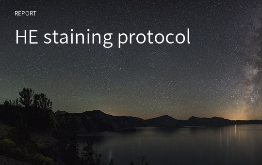 HE staining protocol