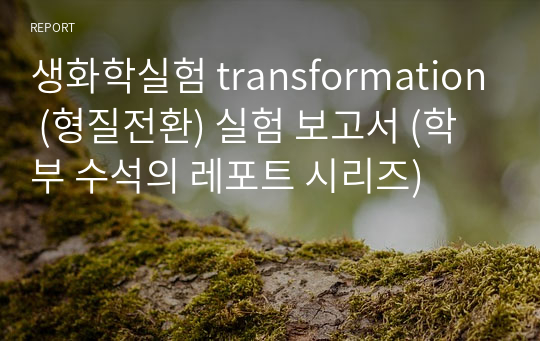 생화학실험 transformation (형질전환) 실험 보고서 (학부 수석의 레포트 시리즈)