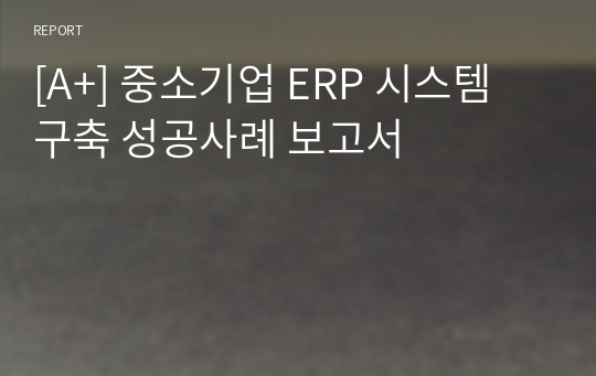 [A+] 중소기업 ERP 시스템 구축 성공사례 보고서