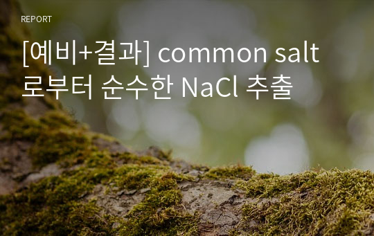 [예비+결과] common salt로부터 순수한 NaCl 추출