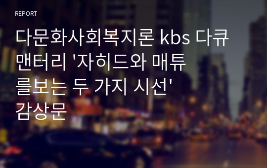 다문화사회복지론 kbs 다큐맨터리 &#039;자히드와 매튜를보는 두 가지 시선&#039; 감상문