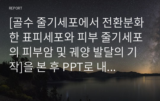 [골수 줄기세포에서 전환분화한 표피세포와 피부 줄기세포의 피부암 및 궤양 발달의 기작]을 본 후 PPT로 내용 요약