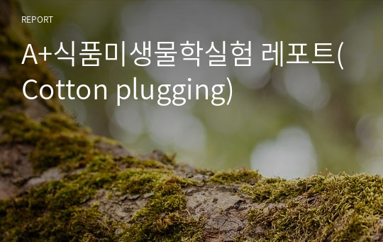 A+식품미생물학실험 레포트(Cotton plugging)