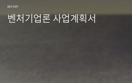 벤처기업론 사업계획서