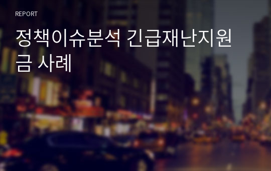 정책이슈분석 긴급재난지원금 사례