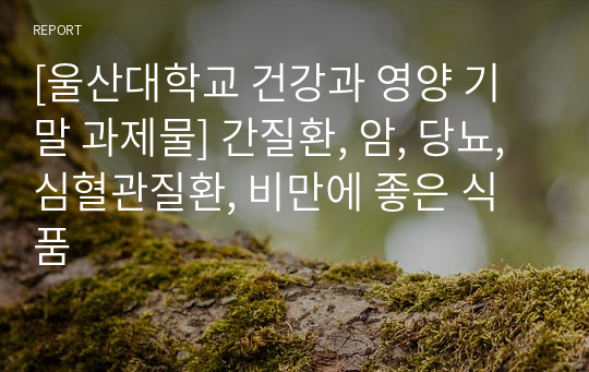 [울산대학교 건강과 영양 기말 과제물] 간질환, 암, 당뇨, 심혈관질환, 비만에 좋은 식품