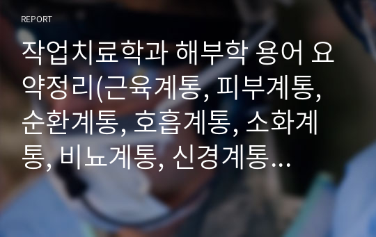 작업치료학과 해부학 용어 요약정리(근육계통, 피부계통, 순환계통, 호흡계통, 소화계통, 비뇨계통, 신경계통, 감각계통, 내분비계통, 생식계통)