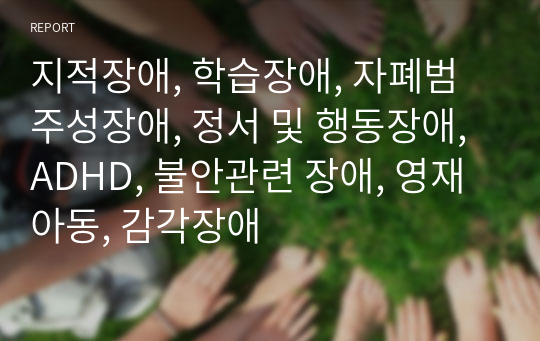 지적장애, 학습장애, 자폐범주성장애, 정서 및 행동장애, ADHD, 불안관련 장애, 영재아동, 감각장애