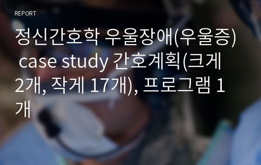 정신간호학 우울장애(우울증) case study 간호계획(크게 2개, 작게 17개), 프로그램 1개