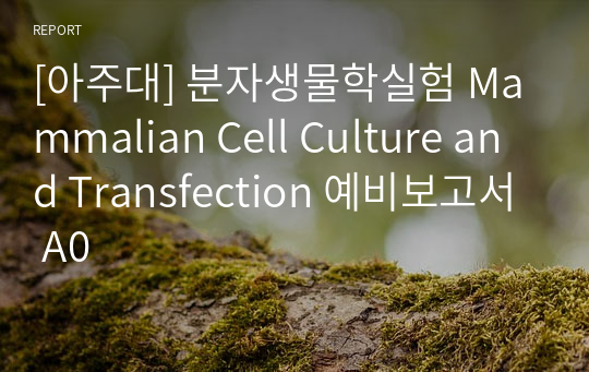 [아주대] 분자생물학실험 Mammalian Cell Culture and Transfection 예비보고서 A0