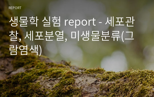 생물학 실험 report - 세포관찰, 세포분열, 미생물분류(그람염색)