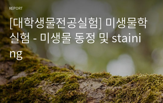 [대학생물전공실험] 미생물학실험 - 미생물 동정 및 staining