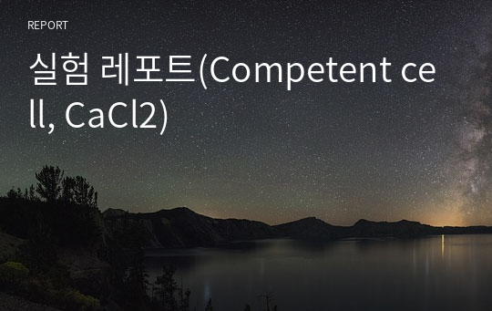 실험 레포트(Competent cell, CaCl2)